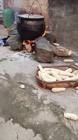 The video captures an outdoor cooking scene in Mangu, Nigeria. A large, black pot is suspended over an open fire, supported by rocks. Flames are visible beneath the pot, indicating that something is being cooked. To the right of the fire, a brown woven basket overflows with corn husks. Several discarded corn cobs are scattered on the ground around the cooking area. In the background, a green plastic container and a broom lean against a rough, textured wall. The ground appears to be made of concrete or packed earth, with patches of dampness and discoloration. The scene suggests a rustic and traditional method of food preparation, likely taking place during the day, as there is ample natural light. There is no visible text in the video.