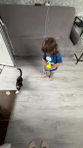 A young child with long brown hair and wearing a blue t-shirt and patterned pants is playing with a black and white kitten that has a red collar. The child is holding a yellow ball and is in the process of throwing it. The kitten is on the floor, facing the child, and appears to be watching the ball. The scene takes place indoors on a light-colored wooden floor. In the background, there is a gray sofa, a glass-topped table with black legs, and a white chair. The walls are a textured gray color. The overall impression is one of playful interaction between the child and the kitten.