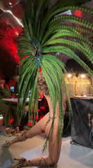 Feathered performer entertains at Moscow nightclub venue