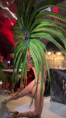 Feathered performer entertains at Moscow nightclub venue