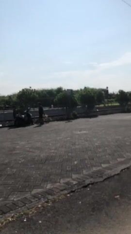 The media file depicts an outdoor scene with a paved area in the foreground and a line of trees and vegetation in the background under a clear blue sky. The paving consists of interlocking bricks, with a darker asphalt strip bordering the right edge.

In the middle ground, on the paved area, there are three individuals and two motorcycles. Two people are standing near one motorcycle, while a third person appears to be standing near another motorcycle further to the left. The setting appears to be a parking area or a public open space.

The time of day is daytime, indicated by the bright sky and the presence of shadows. The weather appears to be clear and sunny. The presence of lush green trees and vegetation suggests a tropical or sub-tropical climate. The location context provided is Grogol, Indonesia, which aligns with the visual cues.

There is no visible text in the media file. The overall mood seems casual and relaxed, with people gathered around motorcycles in an outdoor environment.
