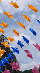 Colorful pinwheel display spotted in Da Lat, Vietnam