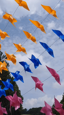 Colorful pinwheel display spotted in Da Lat, Vietnam
