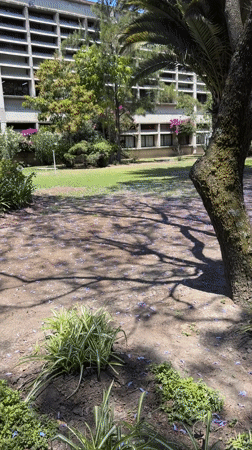 Daily life moments captured in Mexican town