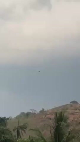 The video shows a bird flying against a cloudy sky, above a landscape with a hill and trees in the foreground. The camera zooms in on the bird as it flies.