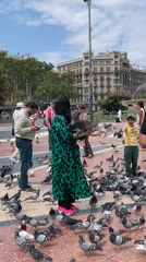 Families feed pigeons in Barcelona public square