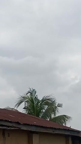 The video begins with a close-up shot of the top of a building with a corrugated iron roof, partially obscured by a palm tree. The sky is overcast and appears cloudy. The camera then pans down to reveal a brown, sandy area with some sparse green vegetation and a white plastic sheet covering some objects. Further in the distance, a large, light-colored wall or embankment is visible. A small, blue object is seen on the ground in the middle distance, possibly a toy or piece of debris. The scene appears to be outdoors in what could be a rural or developing area. There are no people visible in the frame.