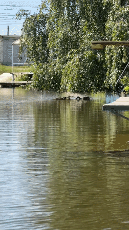 Summer day on the docks in Chaikovsky, Russia