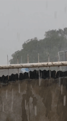 Heavy rain drenches residential areas in Sabon Tasha, Nigeria