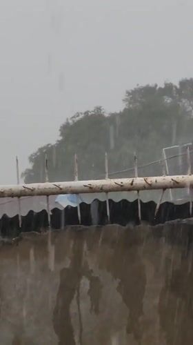 Heavy rain drenches residential areas in Sabon Tasha, Nigeria