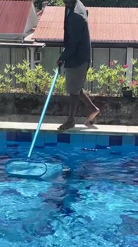 Poolside and yard moments at a Kuta Selatan property