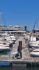 Daily life documented across Dénia's marina and historic center