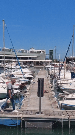 Daily life documented across Dénia's marina and historic center