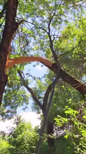 Storm damage and morning activities captured across Almaty parks
