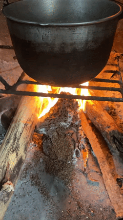 Early morning food preparation activities documented in rural Philippines