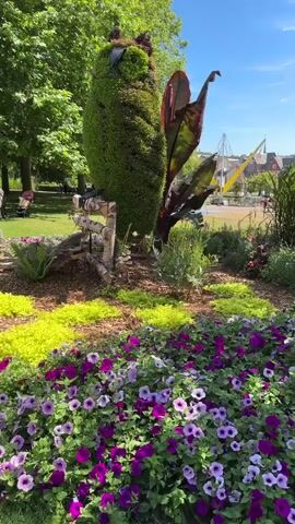 A video shows a topiary owl sculpture in a park on a sunny day. The owl is made of green bushes and has a wooden fence in front of it. Around the owl are beds of purple and pink petunias and bright green foliage. In the background, there are trees and buildings, and some people can be seen walking in the distance. The video pans up and around the sculpture, showing the entire scene.