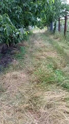 The video shows a person walking down a narrow, overgrown dirt path lined with trees on the left and a fence on the right. The grass on the path is tall and dry, with some green shoots interspersed. The trees on the left have dense green foliage. The fence on the right appears to be made of metal posts and wire. The overall scene suggests a rural or undeveloped area.