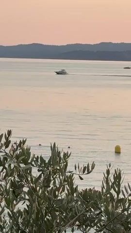 A boat is seen on a large body of water. In the foreground, there are olive branches. In the background, there are hills. The sky is a soft pink and orange, suggesting either sunrise or sunset. The water is calm with gentle ripples. The boat appears to be moving at a moderate speed, leaving a slight wake behind it. The overall scene is tranquil and scenic.