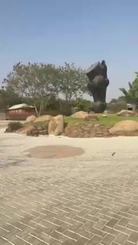 The video shows a statue of a horse's head. The statue is brown and set on a base made of rocks and green grass. Behind the statue are a few trees and some red buildings. The ground is paved with grey bricks in a herringbone pattern.  The sky is clear and blue. A voice can be heard in the video.