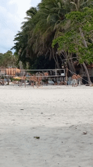 Morning beach recreation captured at Ban Tai Subdistrict, Thailand