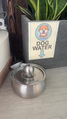 The video shows a close-up shot of a stainless steel dog water bowl. The bowl is partially filled with water and has a metal lid with a rounded handle on top. To the left of the bowl, a white object, possibly another bowl or dish, is visible. Behind the water bowl, a large grey planter contains a snake plant with green and yellow leaves. Attached to the front of the planter is a sign with a cartoon image of a dog and the words "DOG WATER" written in black text, with a blue arrow pointing downwards. To the left of the planter, a dark brown wooden surface and a white cylindrical object are partially visible. The scene appears to be indoors, possibly in a cafe or restaurant, as indicated by the presence of a sign for dog water. The lighting is dim.