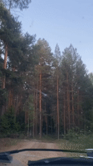 Car travels forest dirt road in Burenka, Russia