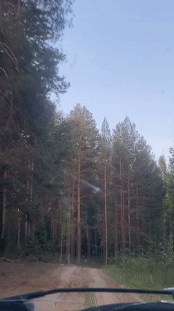 Car travels forest dirt road in Burenka, Russia