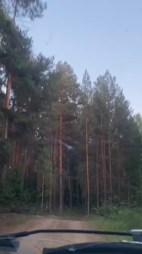 Car travels forest dirt road in Burenka, Russia