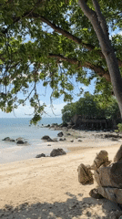 Morning scenes of daily life captured across Koh Phangan