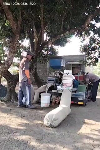 Two individuals are observed working outdoors near a tree. In the foreground, several large, beige sacks are lying on the ground. A man, wearing a grey t-shirt, dark pants with white stripes, and a cap, stands next to a piece of machinery mounted on a trailer. This machinery appears to be a processing unit with various containers and attachments. He is holding a large, light-colored bucket and interacting with the machinery. Another individual, wearing dark clothing, is positioned behind the trailer and is also engaged in an activity related to the machinery. The ground is covered in dirt or sand. A building is visible in the background. The scene is illuminated by daylight. A timestamp in the upper left corner indicates the date 2026.08.16 at 15:20.
