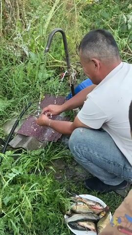 A man in a white t-shirt and blue jeans is squatting next to a faucet attached to a pipe, washing fish. Water is running from the faucet, and the man is using a knife to clean one of the fish. A plate of cleaned fish sits on the ground to his right. The scene appears to be outdoors, with tall green grass surrounding the man and the faucet.