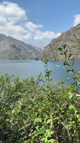 The video shows a view of a large, calm body of water, likely a lake, with mountains on either side. The water is a deep blue and appears to be rippling slightly, indicating a gentle breeze. The mountains are covered in green vegetation in the lower parts and are rocky and bare higher up. The sky is blue with scattered white clouds. In the foreground, there is lush green foliage, possibly bushes and trees, partially obscuring the view of the water and mountains. The overall impression is of a serene and natural landscape. No people or specific objects are clearly visible in the frame, other than the natural elements. The camera appears to be held steadily, with no significant movement beyond natural camera shake.