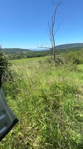 From the partially open door of a vehicle, the video shows a landscape on a sunny day. In the foreground is tall, thick green grass and some shrubbery. A bare, thin tree stands among the grass. In the distance are rolling green hills and a body of water under a clear blue sky.