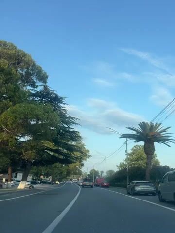 The video shows a view from a vehicle moving along a road. The road has a white line marking the center. On the left side of the road, there are parked cars and large trees with dense foliage. Further down the road, there are more cars, including a red van and a silver car. On the right side of the road, there are streetlights and more trees, including a palm tree. The sky is blue with some white clouds. The overall environment appears to be a street in a temperate or subtropical region, possibly during daylight hours.