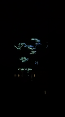 Blurred tree lights captured in nighttime Milan scene