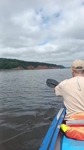 The video shows a person in a blue kayak paddling on a body of water. The kayak is moving forward, indicated by the splashes of water from the paddle. The person is wearing a tan t-shirt and a beige baseball cap. The kayak has orange life vests inside. In the background, there is a shoreline with a tree-covered hill and a red-orange cliff. The sky is cloudy.