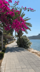 Sunny day at a waterfront beach club with turquoise views