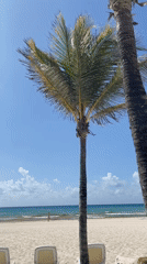 Tourist moments captured across Playa del Carmen beaches and grounds