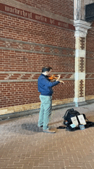 Violin on the street, grand piano in a museum — Amsterdam music moments