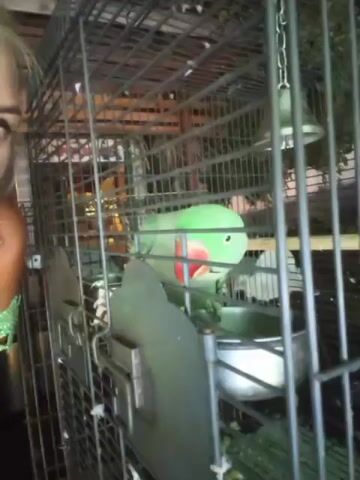 A woman with blonde hair, dark eyeliner, and red lipstick is partially visible on the left side of the frame, wearing a green, sparkling top. She is looking at the camera and smiling. Next to her, to the right, is a large birdcage containing a green parrot. The parrot has a red beak and a red ring around its neck. It is perched inside the cage, which has multiple levels and perches. There are food and water bowls within the cage. The background appears to be a dimly lit indoor space, possibly a room or a shed, with some shelving and objects visible. The video appears to be a selfie with the woman and her pet parrot.