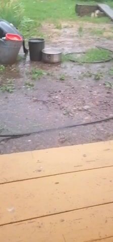 The video shows a backyard scene during what appears to be a rainstorm. The ground is wet and muddy, with puddles forming. Several objects are visible in the yard, including buckets, pots, and a coiled hose. There is also some greenery, such as grass and plants. In the background, a wooden shed or outbuilding can be seen. The overall impression is one of an outdoor area during inclement weather.