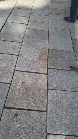 The video shows a ground-level view of a sidewalk. The sidewalk is paved with large, light gray granite tiles arranged in a grid pattern. Along the left edge of the sidewalk, there is a border of small, dark gray cobblestones. The camera pans slightly to the right, revealing a person's feet wearing dark shoes with red laces walking on the granite tiles. The lighting suggests it is daytime, and the environment appears to be an outdoor urban setting.