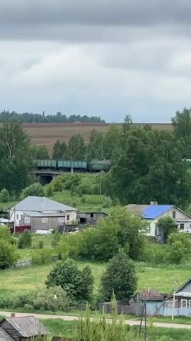 This video captures a daytime view of a rural or semi-rural landscape in Пычас, Russia, under an overcast sky. In the foreground, several houses with various architectural styles, some appearing older and others more modern, are nestled among lush green trees and fields.

In the midground, an elevated railway line is visible, partially obscured by trees. A long freight train travels from right to left across this track. The train consists of numerous green freight cars pulled by a red locomotive. The train passes over what appears to be a bridge or embankment as it moves across the frame. As the train continues its journey, the red locomotive and the trailing freight cars gradually disappear from view behind the dense tree line on the left. A water tower briefly comes into view on the left side of the frame as the train exits. The scene depicts a quiet village setting with the passing train as the main point of activity.