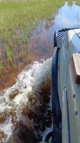 The video shows a vehicle moving through water, likely in a marsh or wetland environment. The camera is positioned on the right side of the vehicle, facing forward and slightly outward. The vehicle creates a noticeable wake, with water splashing against the side. Tall grass and other vegetation are visible on both sides of the vehicle. The day appears sunny, with a clear sky visible. The vehicle has a front grill guard and a wooden structure on the side.