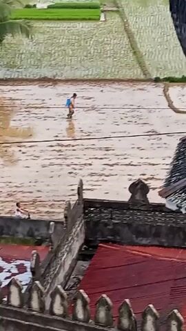 Here's a description of the video:

The video shows a rural scene with a rice paddy field in the background. In the foreground is a rooftop with intricate architectural details, including a patterned roof and a fence-like structure with ornate posts. A person is walking through the flooded rice paddy, carrying a blue container on their back. The water in the field reflects the person's movements and the overcast sky. The green rice plants are visible in the well-defined paddies in the background.