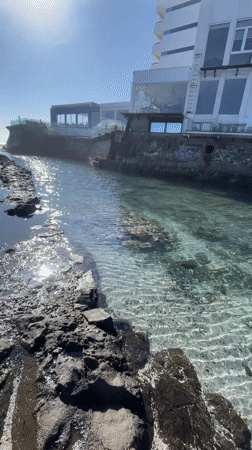 Evening coastal scenes documented along Iquique waterfront with dogs, birds