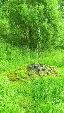 A small fountain sprays water upwards from a rocky mound covered in moss and grass. The mound is surrounded by lush green grass and trees. The scene appears to be a natural, outdoor environment. The fountain is the central focus of the video, with the water stream appearing clear and consistent. There are no people or animals visible in the video. The lighting suggests it is daytime, possibly overcast due to the lack of harsh shadows.