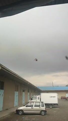 The video shows a cloudy sky with rain falling. In the foreground, there is a building with a row of doors. In front of the building, there are several sacks stacked up. Two cars are parked in front of the building, and a truck is parked further down the row. Birds are seen flying in the sky.