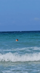 Beachgoers enjoy sunny morning waters at Cam Lam Vietnam