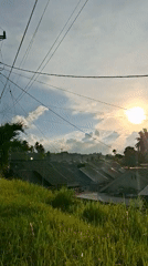 Daily goat feeding routine documented in Lhokseumawe Indonesia neighborhood